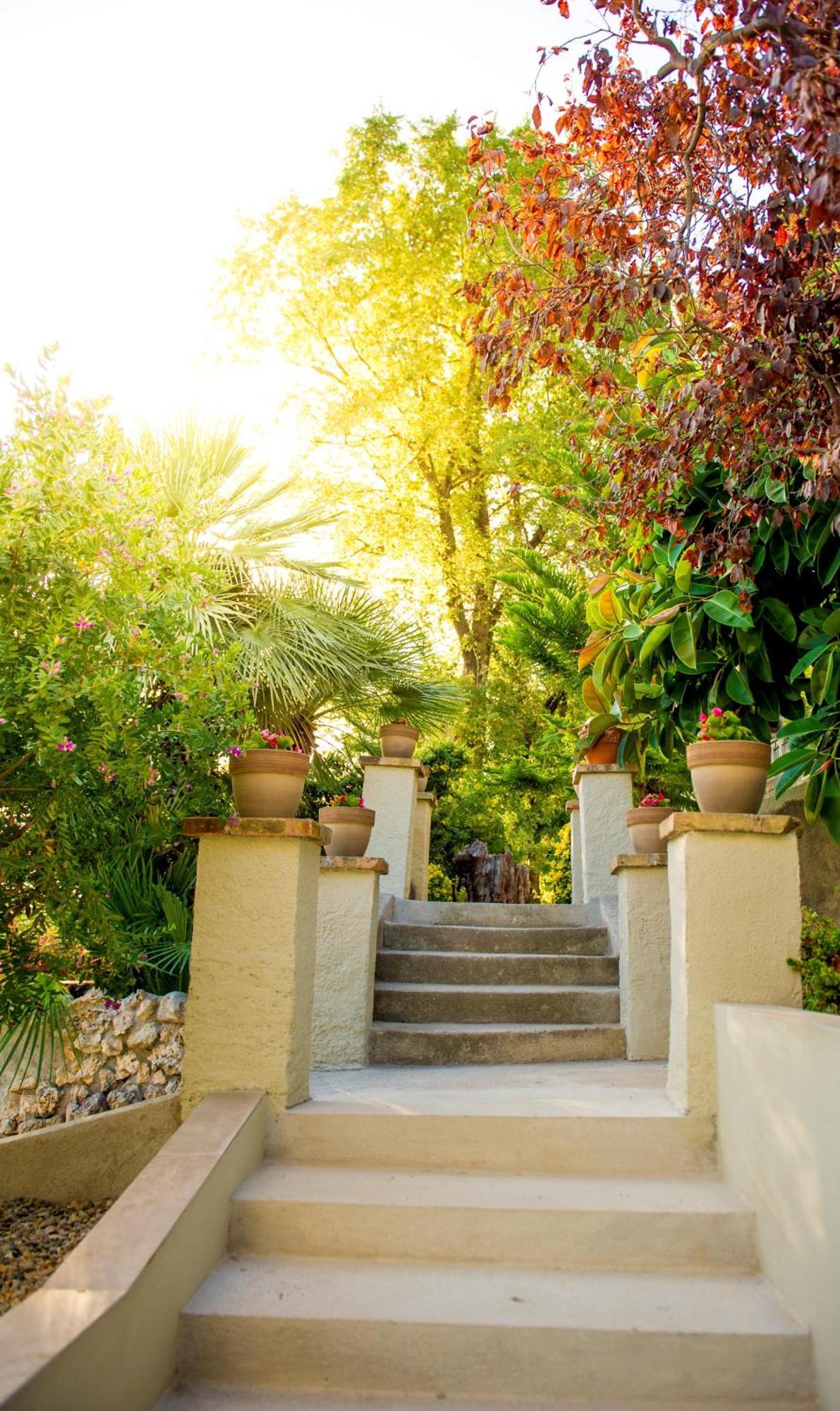 Castellvi de la Marca Bolet Casa Modernista Bed & Breakfast エクステリア 写真
