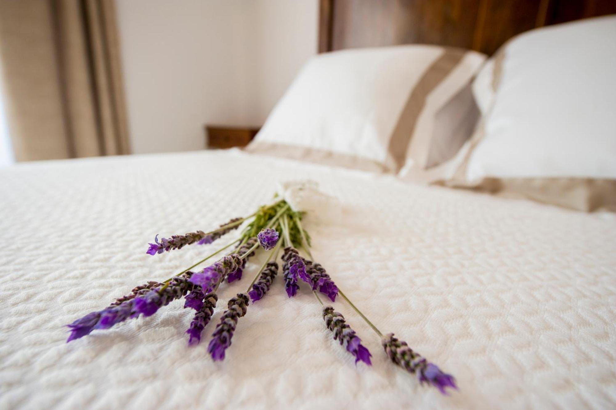 Castellvi de la Marca Bolet Casa Modernista Bed & Breakfast エクステリア 写真